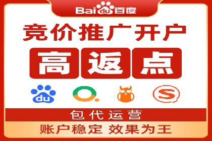 百度联盟推广网络覆盖的案例研究